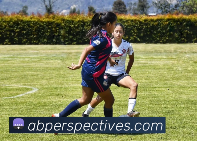 登录器